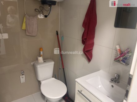 Pronájem bytu, jiný, 11 m²
