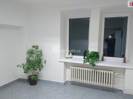 Pronájem bytu, 1+1, 23 m²