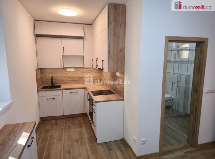 Pronájem bytu, 4+kk, 75 m²