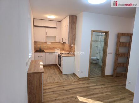 Pronájem bytu, 4+kk, 75 m²
