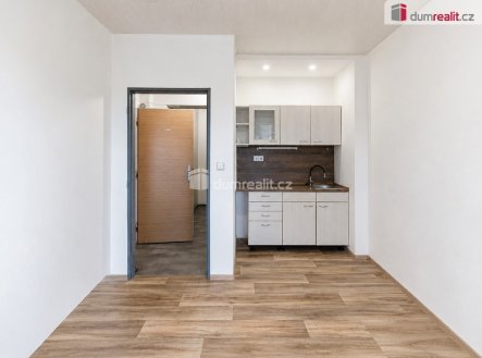 Pronájem bytu, 1+kk, 22 m²