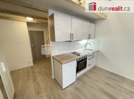 Pronájem bytu, 1+kk, 42 m²