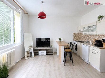 Pronájem bytu, 1+1, 36 m²
