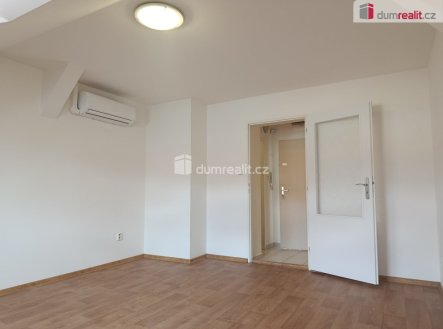 Pronájem bytu, 1+kk, 23 m²