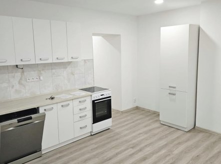 Pronájem bytu, 1+1, 58 m²