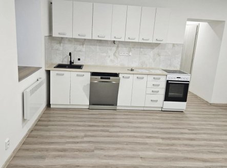Pronájem bytu, 1+1, 58 m²