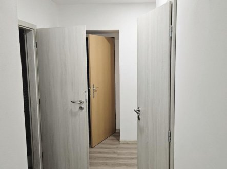 Pronájem bytu, 1+1, 58 m²