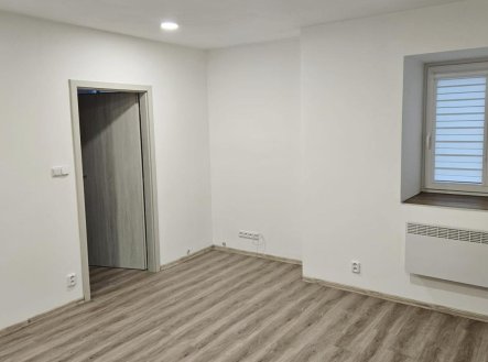 Pronájem bytu, 1+1, 58 m²
