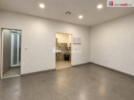 Pronájem skladu, 20 m²