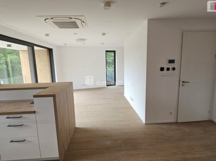 Pronájem bytu, 2+kk, 70 m²
