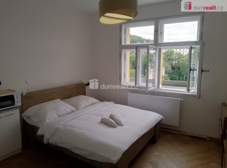 Pronájem bytu, 1+kk, 20 m²