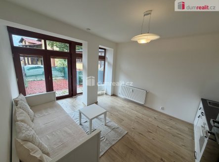 Pronájem bytu, 1+kk, 25 m²