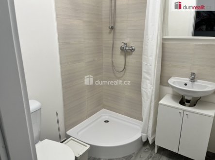Pronájem bytu, 1+kk, 18 m²