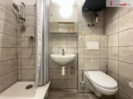 Pronájem bytu, 1+1, 30 m²