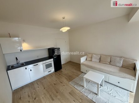 Pronájem bytu, 1+kk, 25 m² obrázek