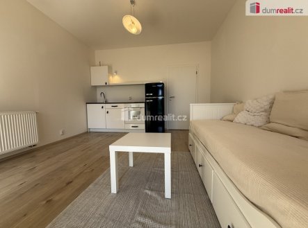 Pronájem bytu, 1+kk, 25 m²