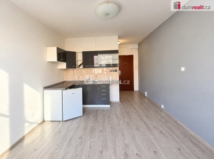 Pronájem bytu, 1+kk, 19 m²