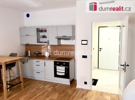 Pronájem bytu, 1+kk, 31 m²
