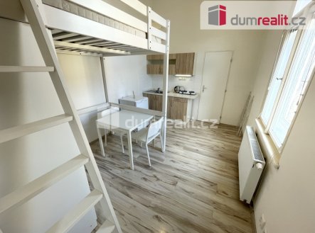 Pronájem bytu, 1+kk, 25 m² obrázek