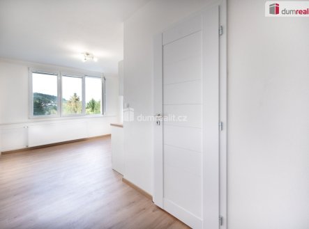 Prodej bytu, 1+kk, 19 m²