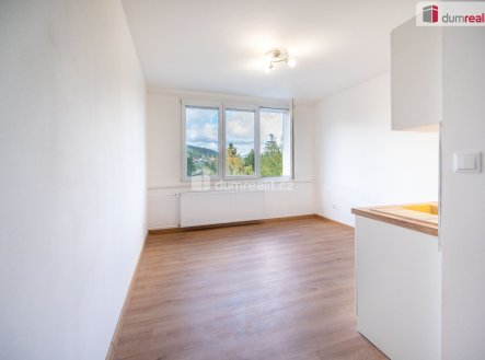 Prodej bytu, 1+kk, 19 m²