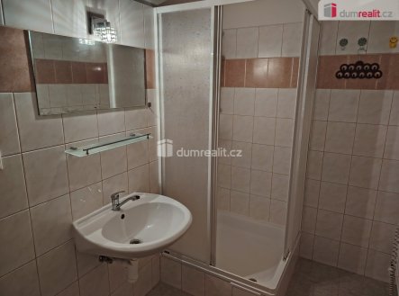 Pronájem bytu, 1+1, 45 m²