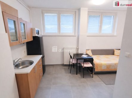 Pronájem bytu, 1+kk, 21 m²