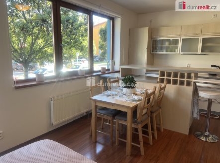 Pronájem bytu, 1+kk, 48 m²