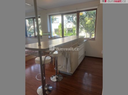 Pronájem bytu, 1+kk, 48 m²