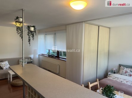 Pronájem bytu, 1+kk, 48 m²