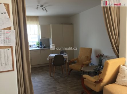 Pronájem bytu, 1+kk, 33 m²
