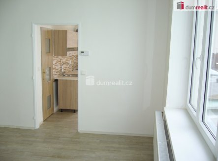 Pronájem bytu, 1+1, 30 m²