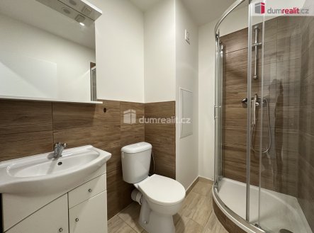 Pronájem bytu, 1+kk, 20 m²