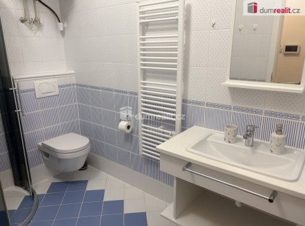 Pronájem bytu, 1+kk, 26 m²
