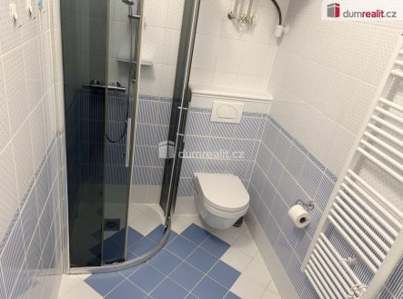 Pronájem bytu, 1+kk, 26 m²