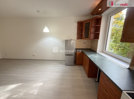 Pronájem bytu, 2+kk, 45 m²