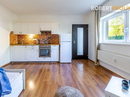 Pronájem bytu, 1+kk, 50 m²