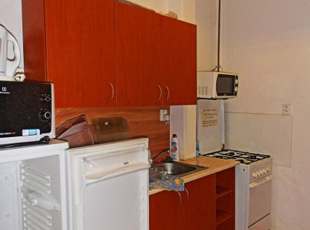 Pronájem bytu, jiný, 20 m²