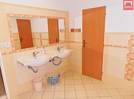 Pronájem bytu, jiný, 20 m²