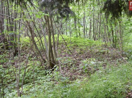 Prodej pozemku, ostatní, 4 584 m²