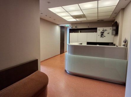 Pronájem jiné komerční nemovitosti, 23 m²