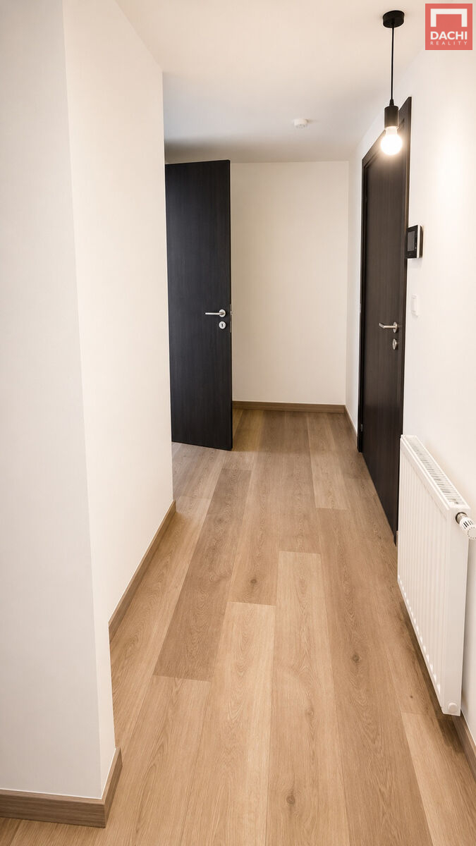 ai-garsonka-04.jpg