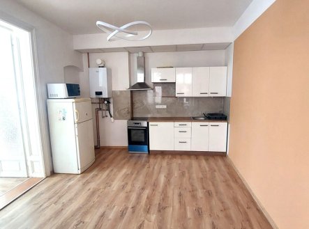 Pronájem bytu, 1+1, 55 m²