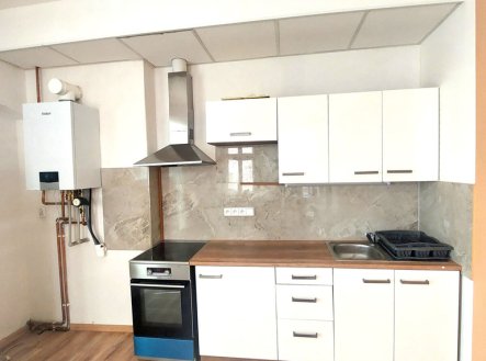 Pronájem bytu, 1+1, 55 m²