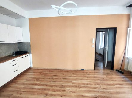 Pronájem bytu, 1+1, 55 m²
