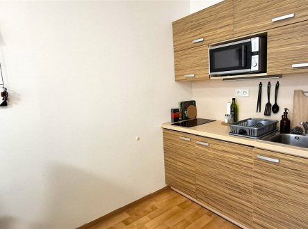 Pronájem bytu, 1+kk, 4 160 m²