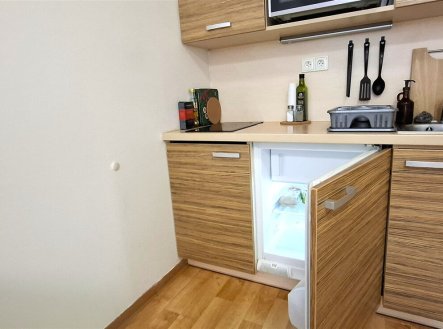 Pronájem bytu, 1+kk, 4 160 m²