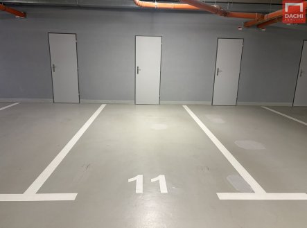 Pronájem