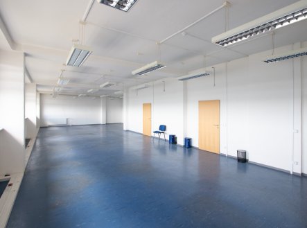 Pronájem kanceláře, 250 m²