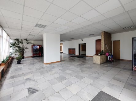 Pronájem kanceláře, 25 m²